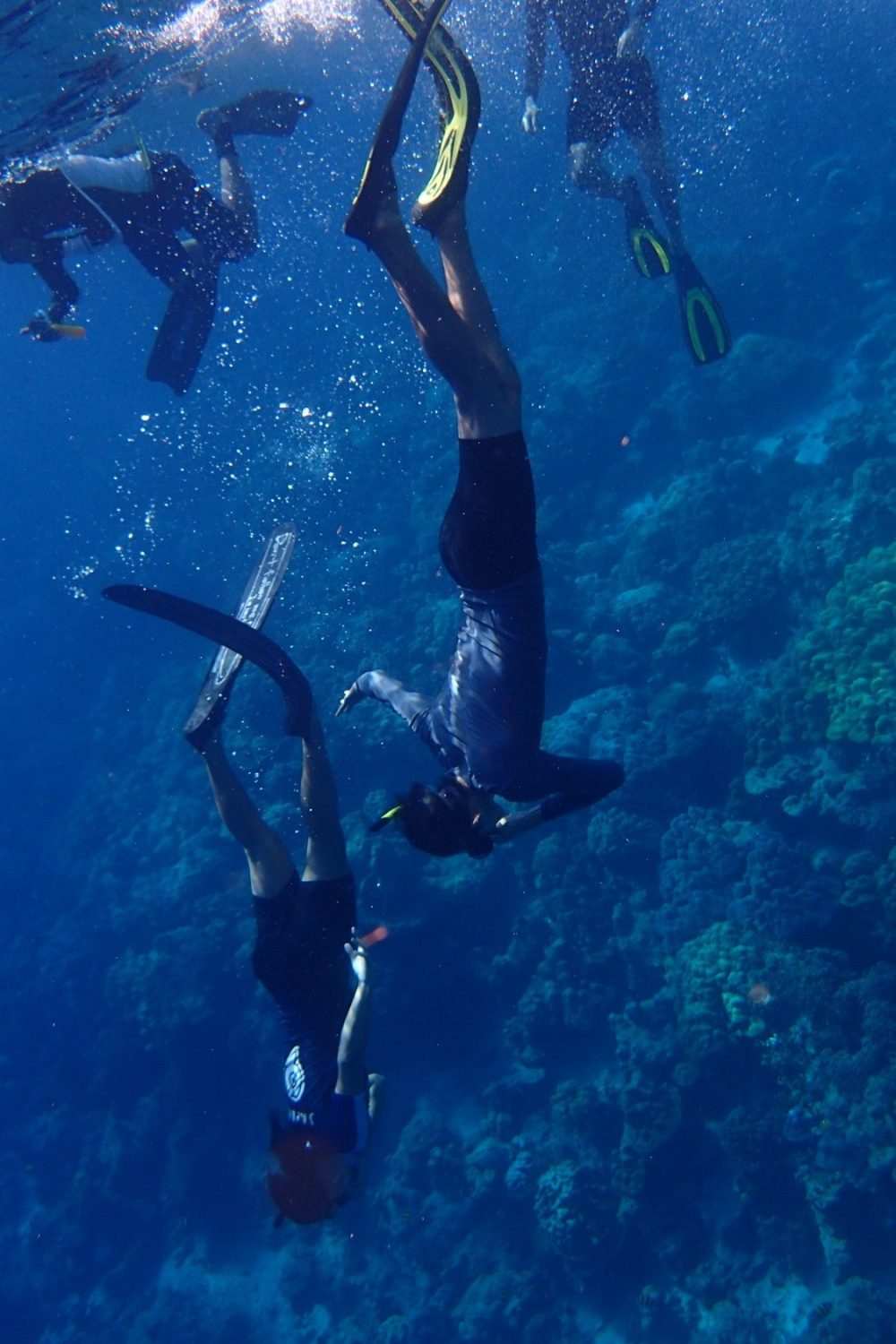free-diving-1.jpg